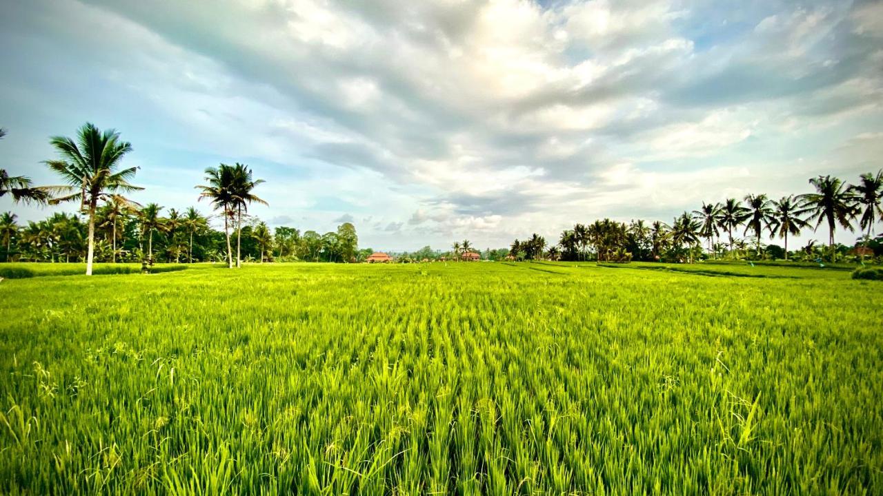 Villa Sawah Ramah Ubud Eksteriør billede